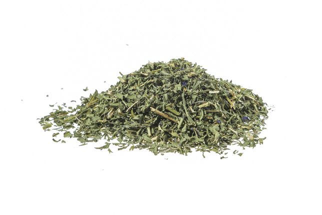 Issopo (Hyssopus officinalis L.)