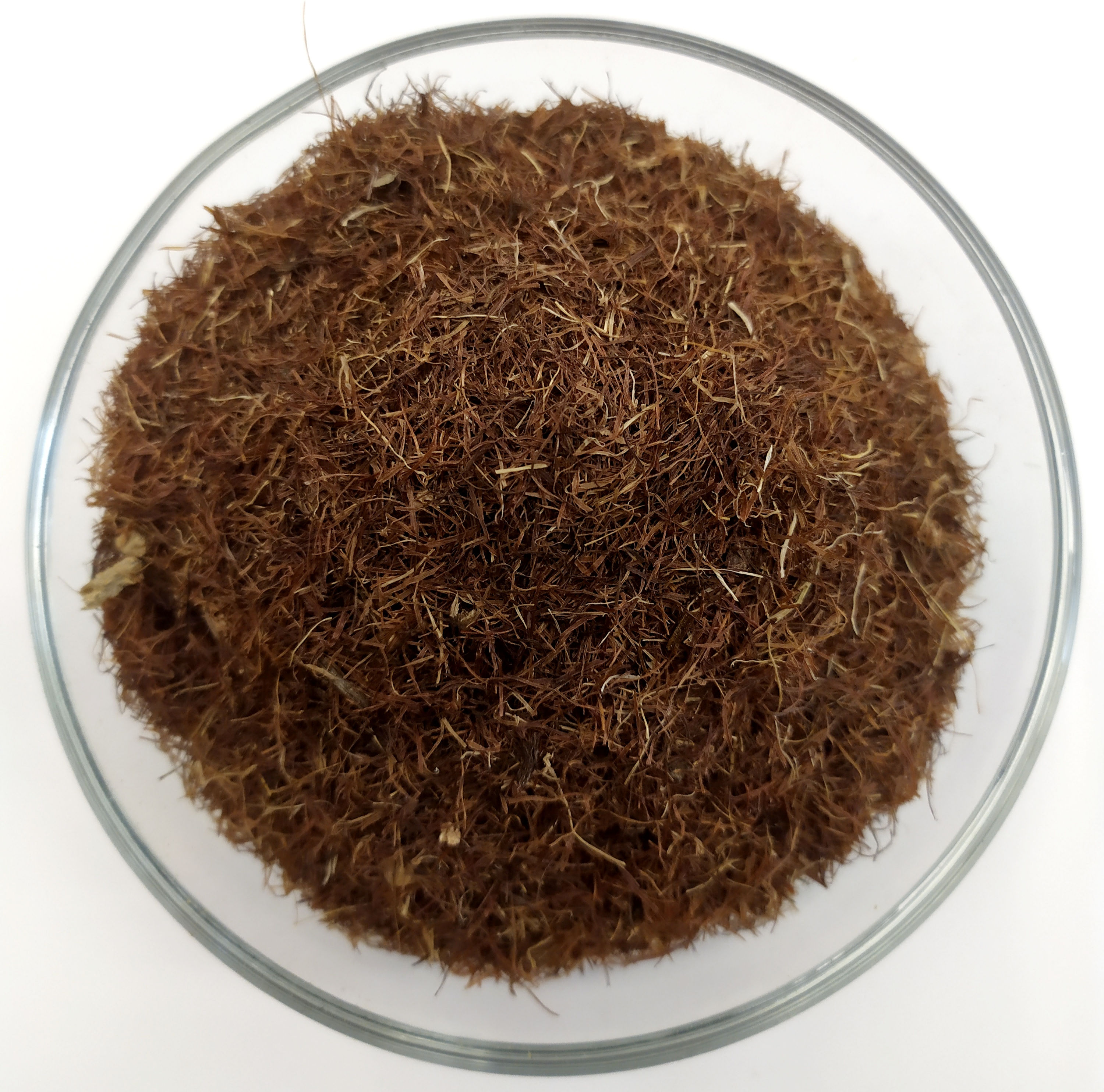 Mais stigmi (Zea mais L.