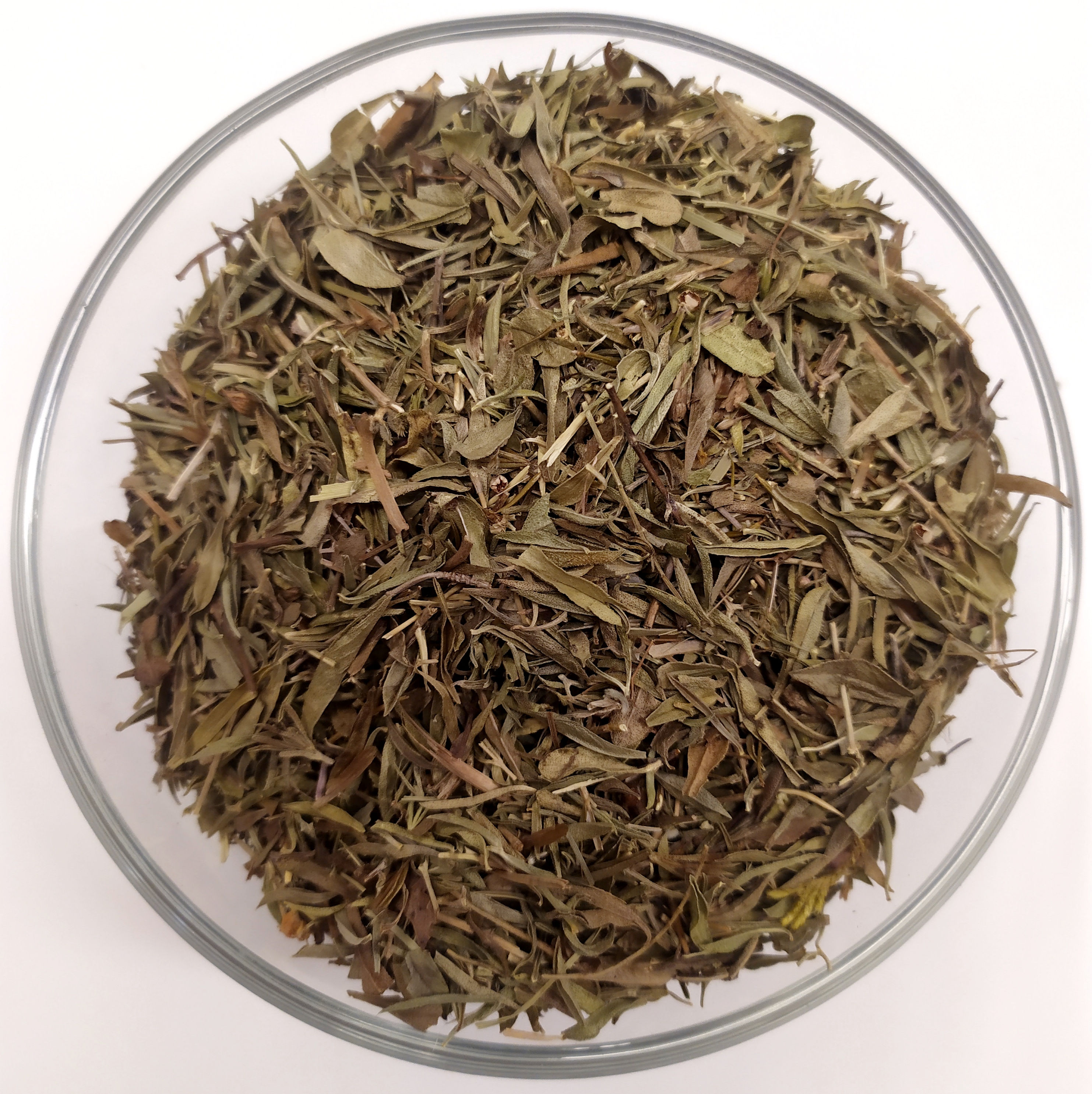 Santoreggia sommità (Satureja hortensis L.)