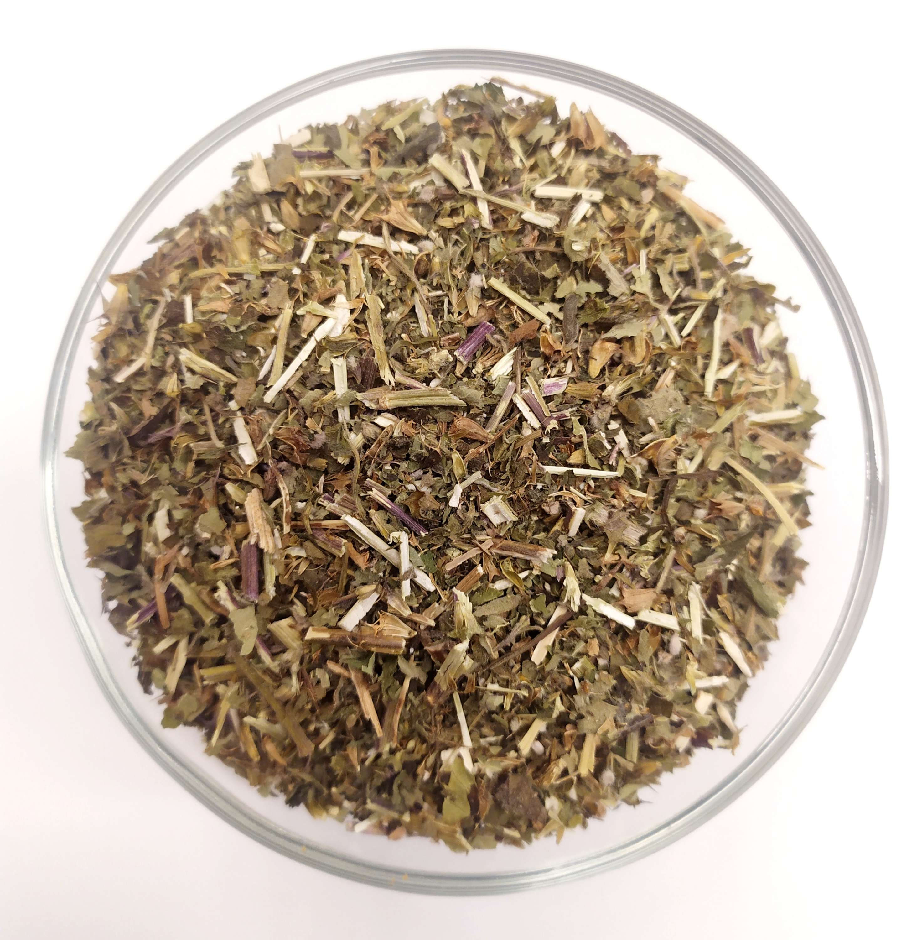 Cardiaca (Leonorus cardiaca L.)