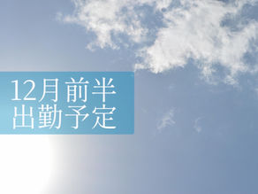 12月前半出勤予定