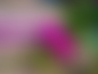 7月後半出勤予定