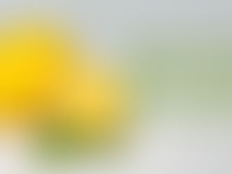 8月前半出勤予定