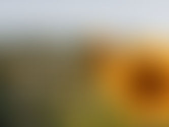 8月後半出勤予定