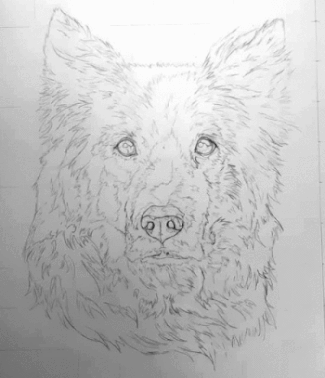 Chalk and Charcoal Dog Drawing by Brittany Gurr Altschuld