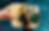 Anaqua Banner.png