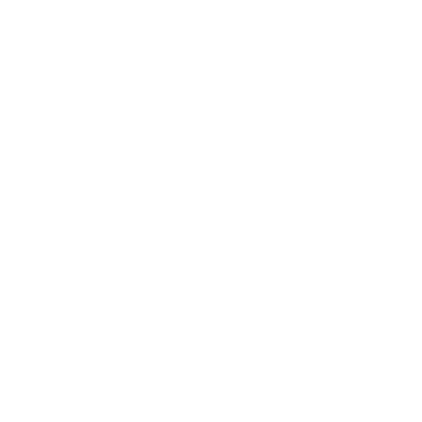 tiktok.png