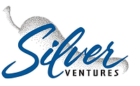 SILVER LOGO