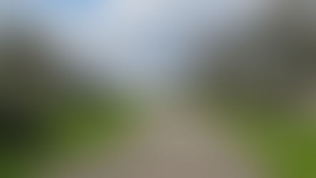 Thames Water decision on Greenway orchard planting proposal, plus latest on Indoor Vertical Hydroponics suggestion