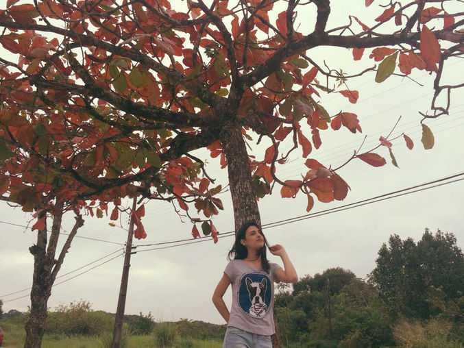 Look: Cachorrinho marinheiro