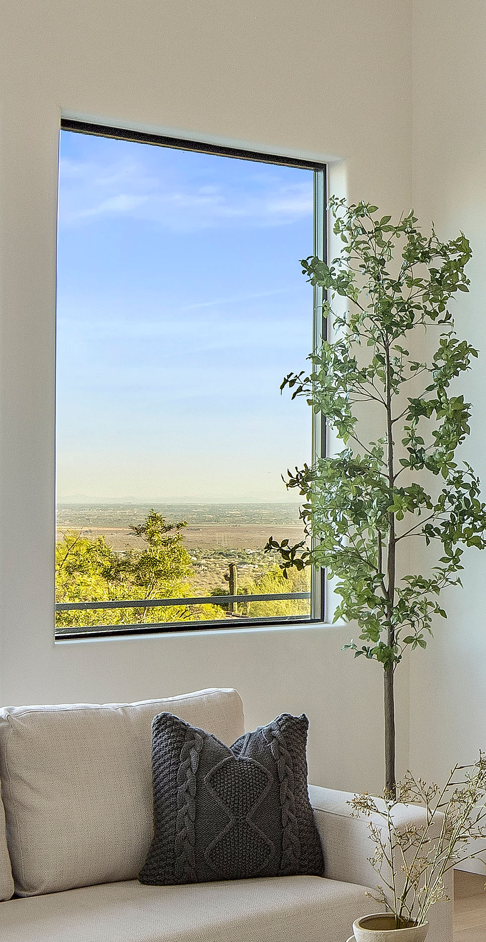 window.jpg