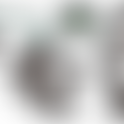 Busy Weekend at the Branches!