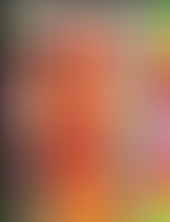 『ペキンパーVol.6』OUTBREAK RIOT インタビュー掲載！