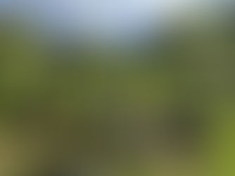 Ausflug zur Burgruine Altems