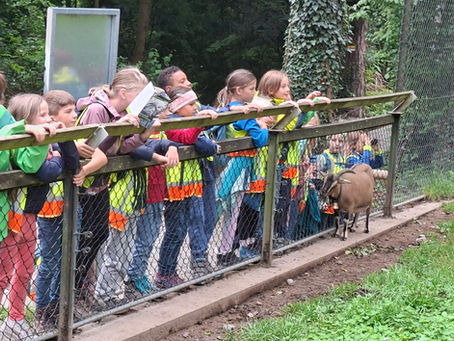 Wandertag der VS Reute 