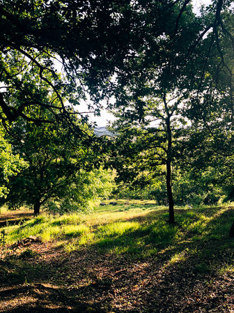 Chateau de Goudourville-1038.jpg