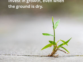 Small growth of a plant in between cement cracks with text overlay that says "Invest in growth, even when the ground is dry".