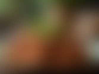 Keunikan dan Kekayaan Kuliner Tradisional Indonesia