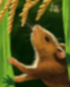 Harvest Mouse