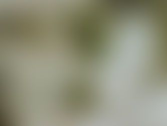 Coronavirus: a blessing in disguise? 