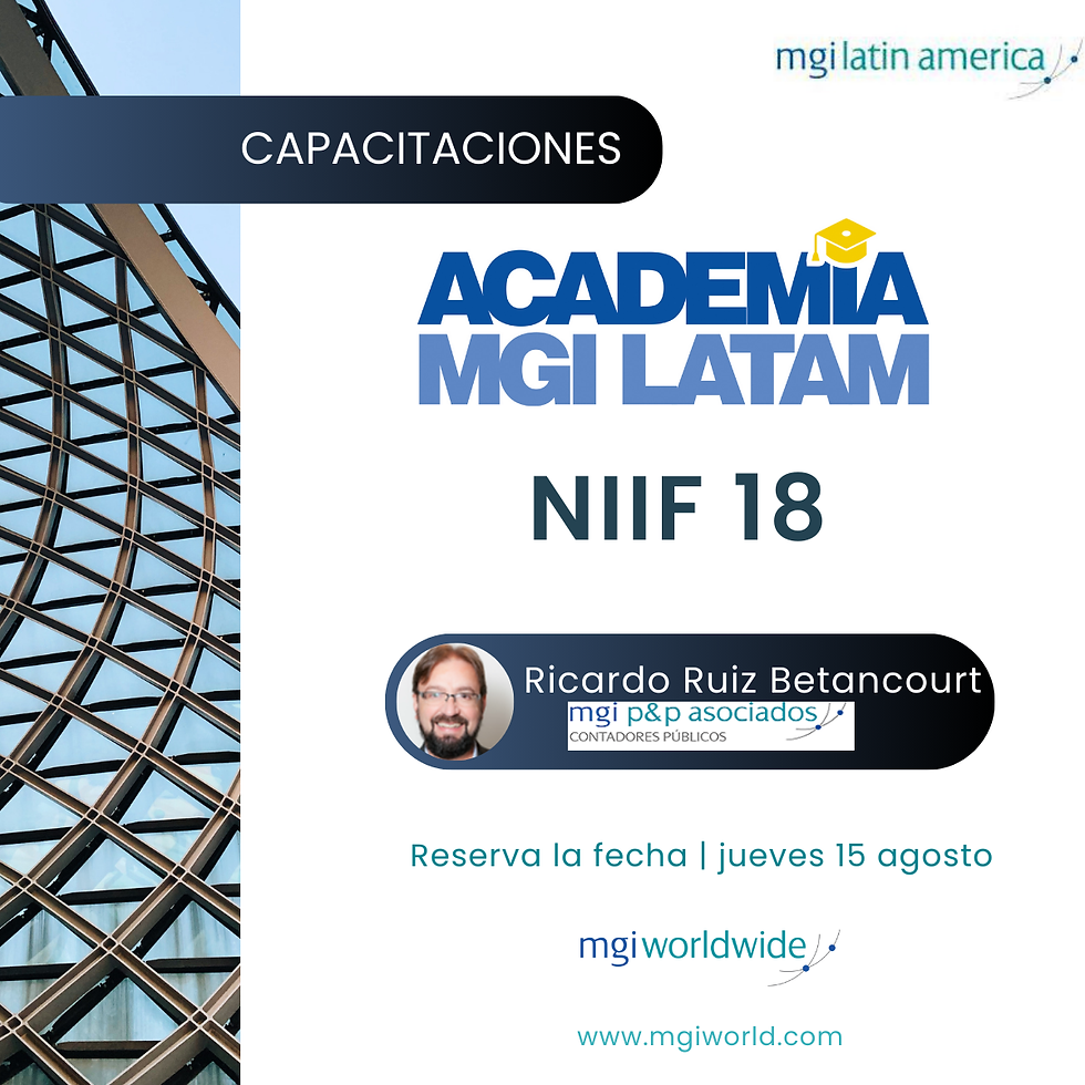 NIIF 18 