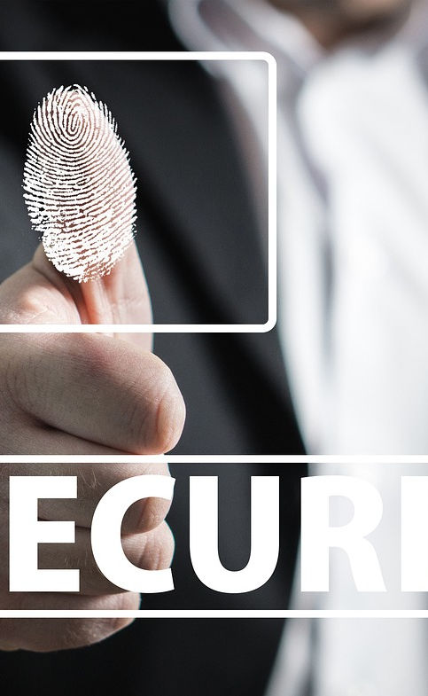 fingerprint-2904774_1280.jpg