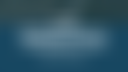 Boundary Fence vs. Convenience Fence