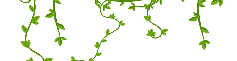 What is Chameleon__edited_edited_edited.png