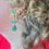 Thumbnail: Big stones earring