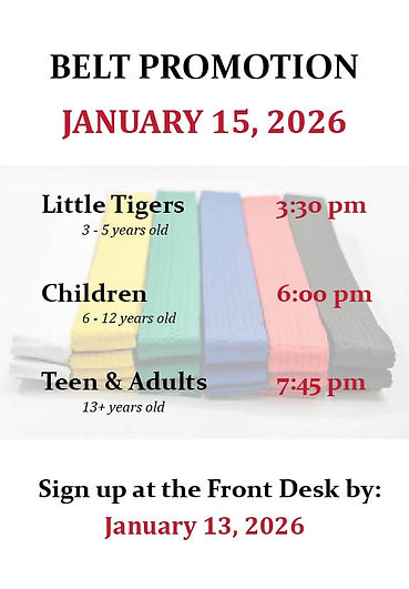 Belt Promotion Poster.jpg