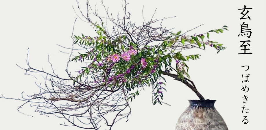 玄鳥至 つばめきたる