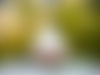 結婚式の予算を抑える方法★ウェディングケーキ編