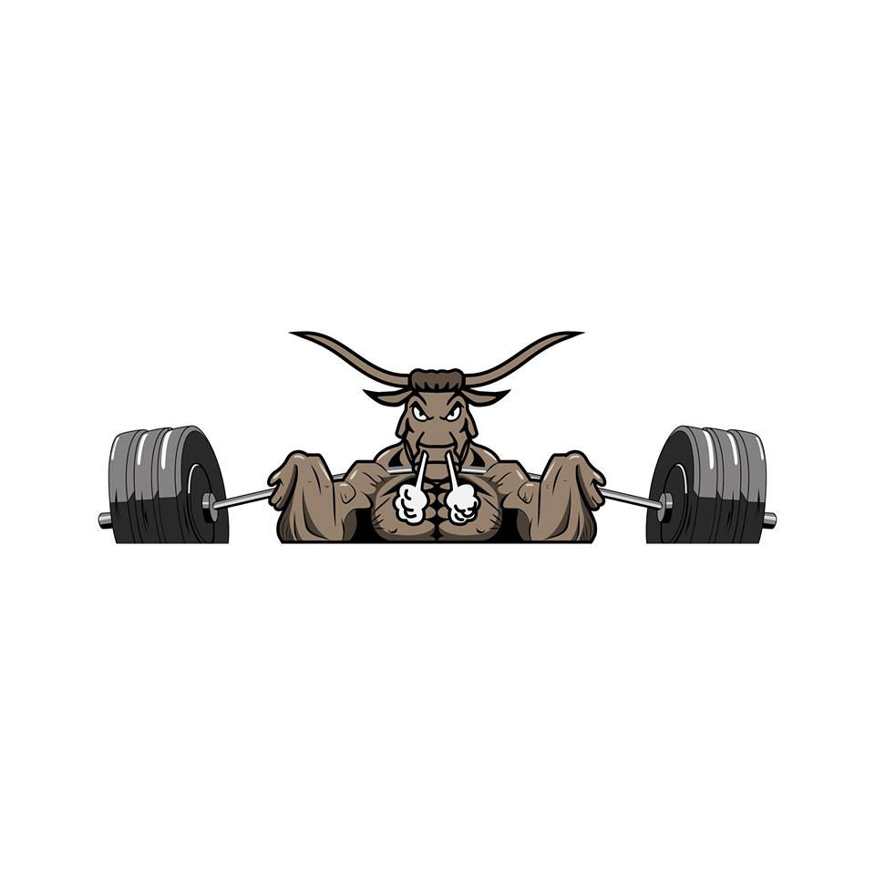 Bull Gym