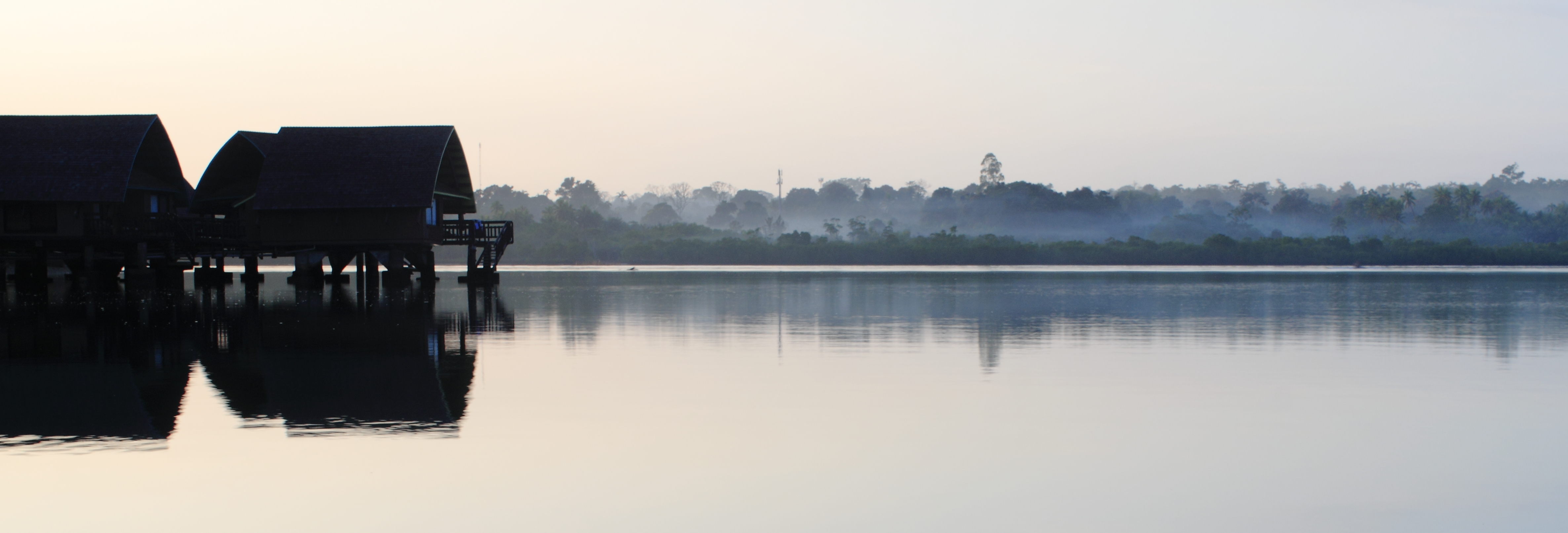 Misty morn