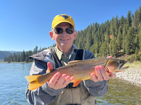 Go-To Flies