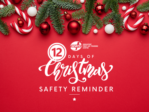 12 Days of Christmas Safety