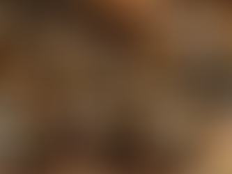 What should you do if a bee stings you?