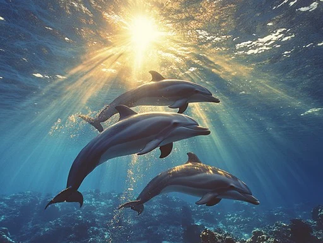 Happy National Dolphin Day to all my friends across the globe! 🌎🐬