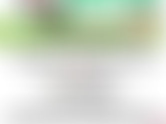 It's Road Construction season in Illinois.  Let's celebrate it with Santa's Touch the Truck!