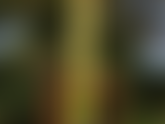 We are at the 4 day mark to Santa's Touch the Truck.