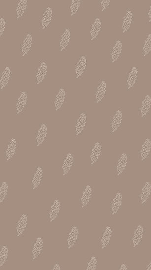Marrón web fondo.jpg