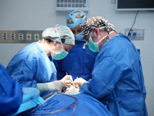 Rambam Selected as International Training Center for Oral and Maxillofacial Surgery