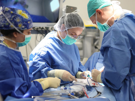 A Toddler, a Magnetic Necklace, and the Race to Save a Life