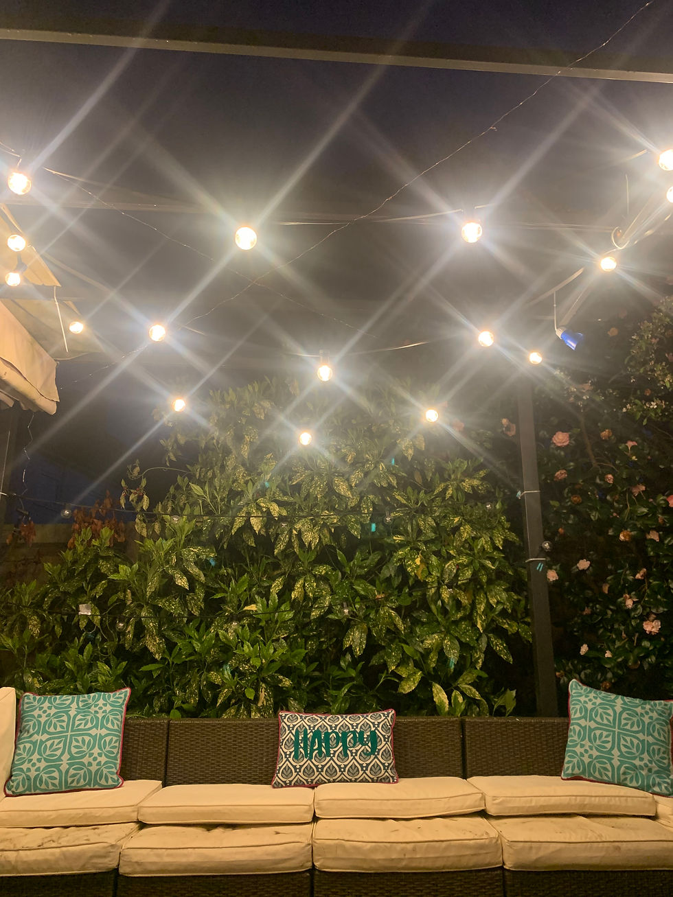 Thumbnail: Bright white festoon in Garden
