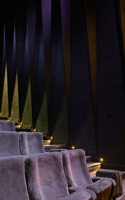 6_GRADIN-auditorium©-Philippe-Ruault-51.