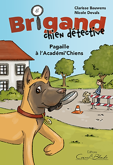 Cover Brigand2.png
