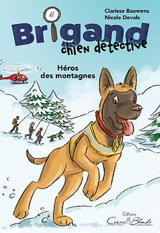 Cover Brigand3.png