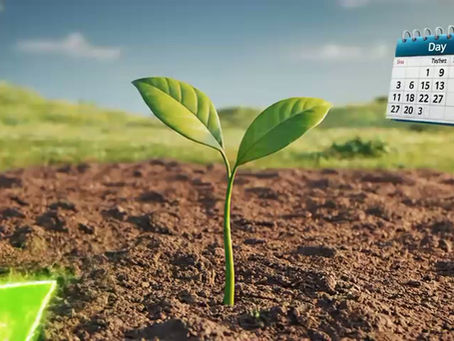 What is SIP? Complete Beginner Guide (2026) + How to Start SIP, best age to start SIP, SIP for beginners India, how to start SIP in 20s, mutual fund SIP returns.