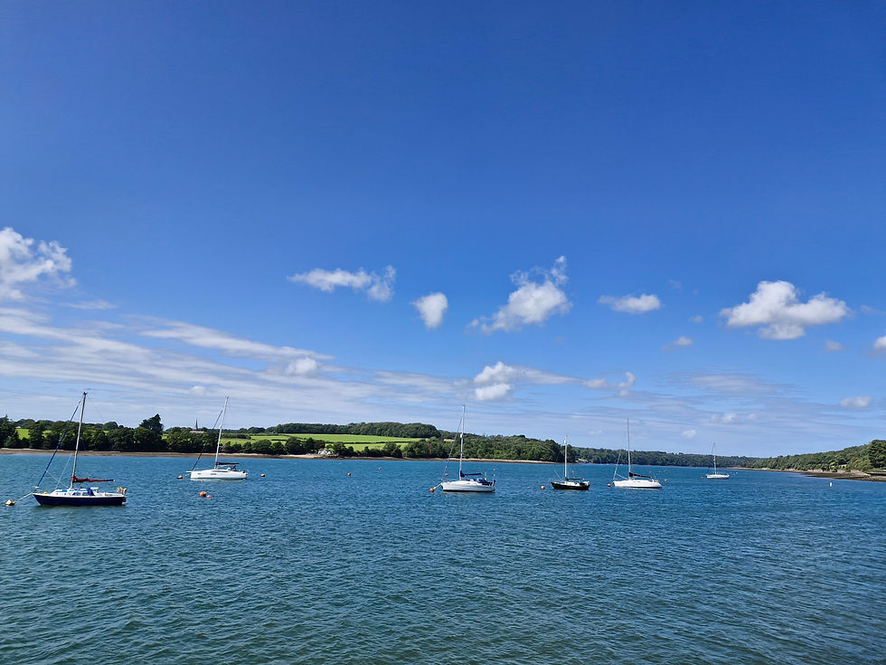 Sailboats float on a calm blue sea under a clear sky with white clouds. Trees and a grassy landscape line the distant shore.