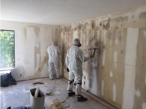 Two workers in protective suits remove mold from a white wall in a room. Tools and a bucket are on the floor. Mood is focused.
